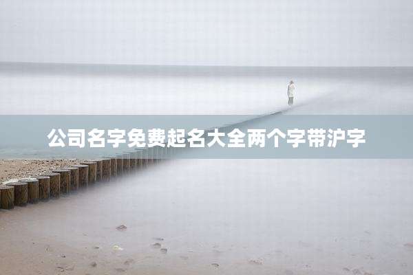 公司名字免费起名大全两个字带沪字