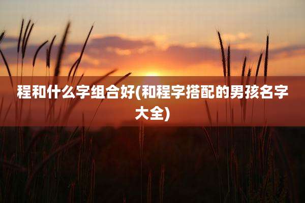 程和什么字组合好(和程字搭配的男孩名字大全)