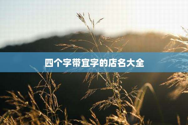 四个字带宜字的店名大全