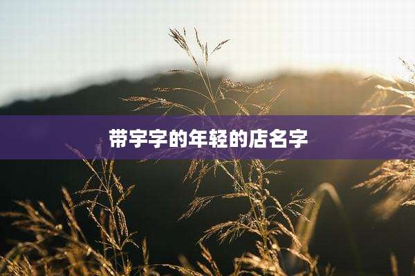 带宇字的年轻的店名字