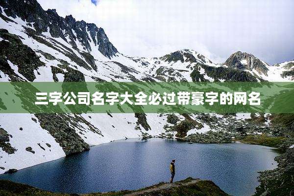 三字公司名字大全必过带豪字的网名