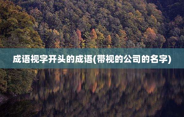 成语视字开头的成语(带视的公司的名字)