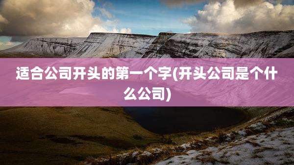 适合公司开头的第一个字(开头公司是个什么公司)