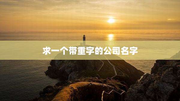 求一个带重字的公司名字
