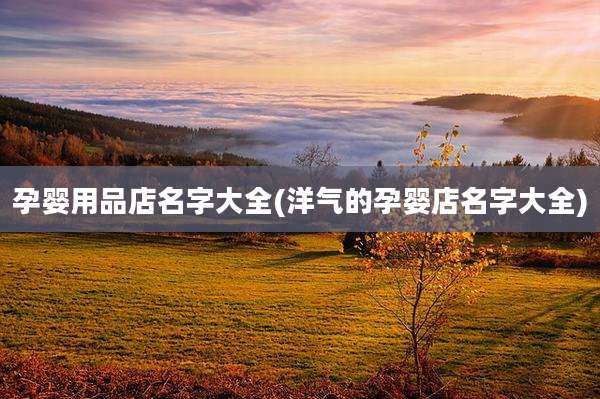 孕婴用品店名字大全(洋气的孕婴店名字大全)