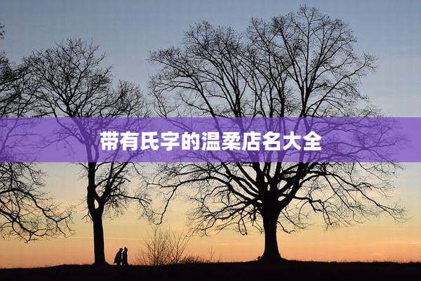 带有氏字的温柔店名大全