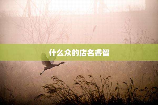 什么众的店名睿智