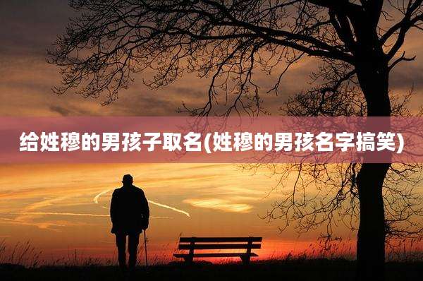 给姓穆的男孩子取名(姓穆的男孩名字搞笑)