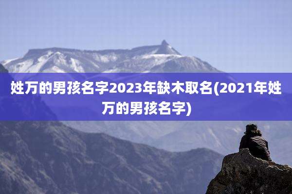 姓万的男孩名字2023年缺木取名(2021年姓万的男孩名字)