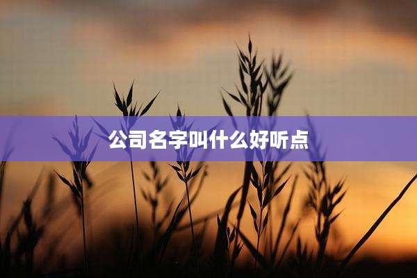 公司名字叫什么好听点
