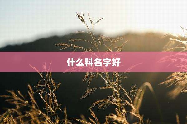 什么科名字好