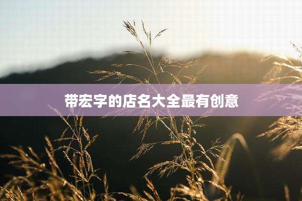 带宏字的店名大全最有创意
