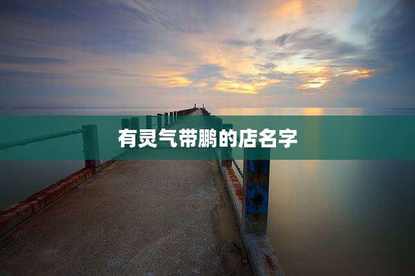 有灵气带鹏的店名字