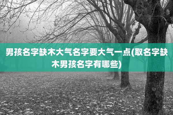 男孩名字缺木大气名字要大气一点(取名字缺木男孩名字有哪些)