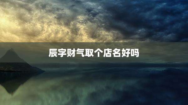 辰字财气取个店名好吗