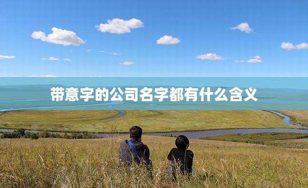 带意字的公司名字都有什么含义