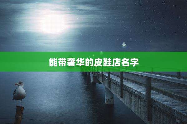 能带奢华的皮鞋店名字