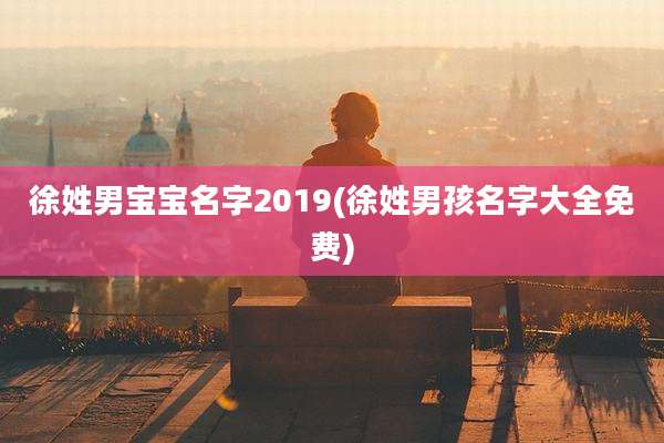 徐姓男宝宝名字2019(徐姓男孩名字大全免费)