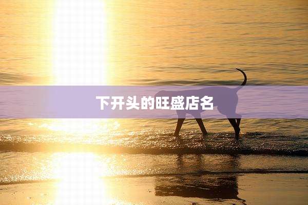 下开头的旺盛店名