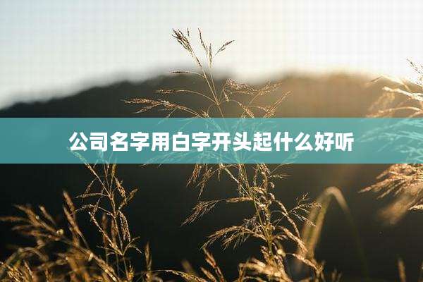 公司名字用白字开头起什么好听