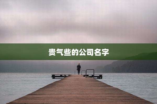 贵气些的公司名字