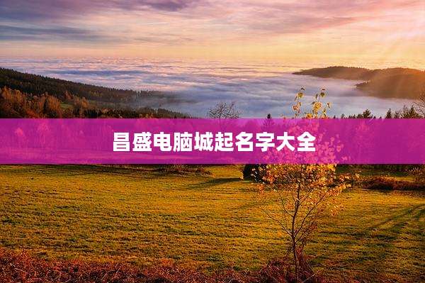 昌盛电脑城起名字大全