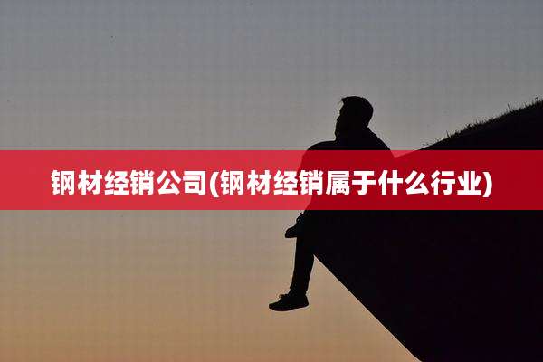 钢材经销公司(钢材经销属于什么行业)
