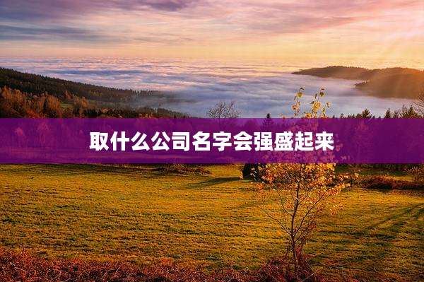 取什么公司名字会强盛起来