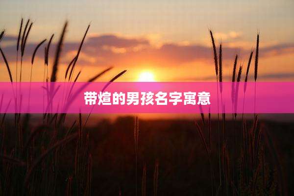 带煊的男孩名字寓意