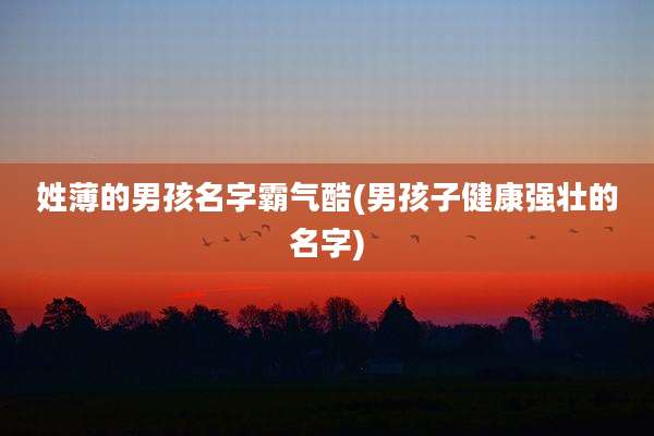 姓薄的男孩名字霸气酷(男孩子健康强壮的名字)