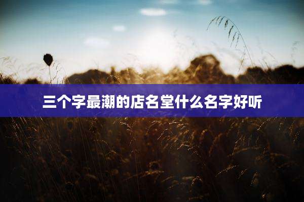 三个字最潮的店名堂什么名字好听