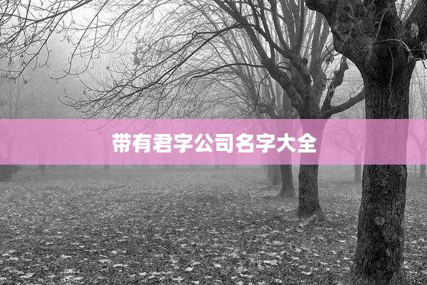 带有君字公司名字大全