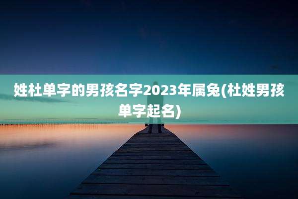 姓杜单字的男孩名字2023年属兔(杜姓男孩单字起名)