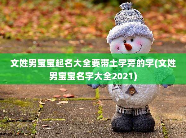 文姓男宝宝起名大全要带土字旁的字(文姓男宝宝名字大全2021)