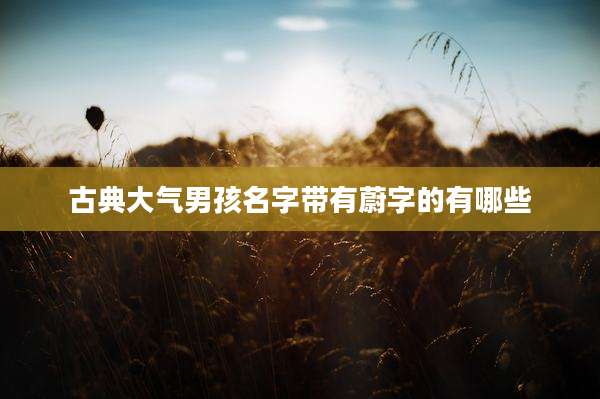 古典大气男孩名字带有蔚字的有哪些