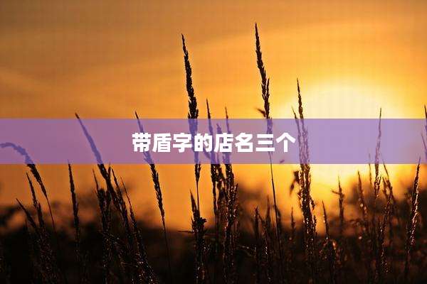 带盾字的店名三个