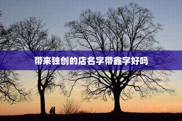 带来独创的店名字带鑫字好吗
