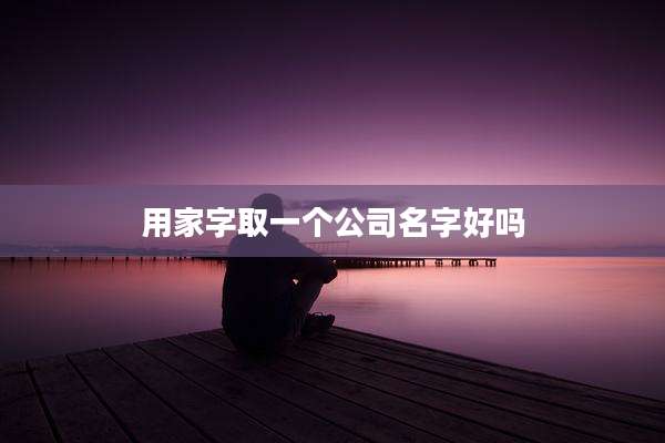 用家字取一个公司名字好吗
