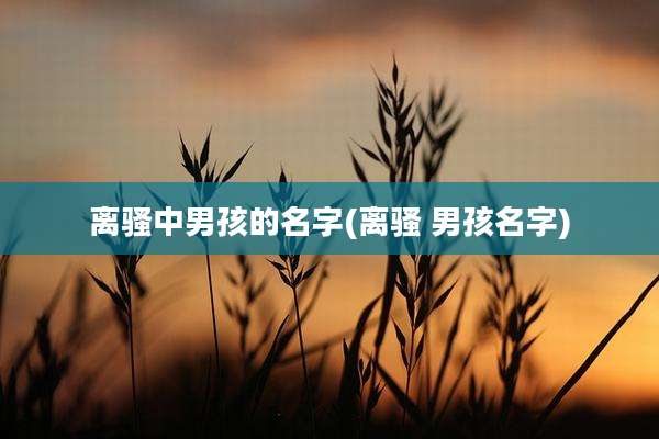 离骚中男孩的名字(离骚 男孩名字)