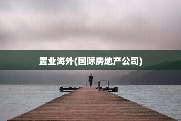 置业海外(国际房地产公司)