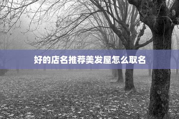 好的店名推荐美发屋怎么取名