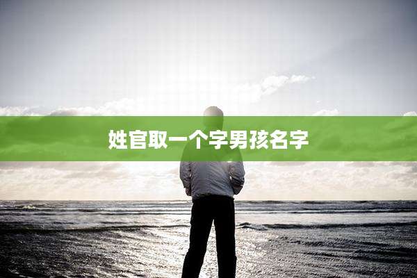 姓官取一个字男孩名字