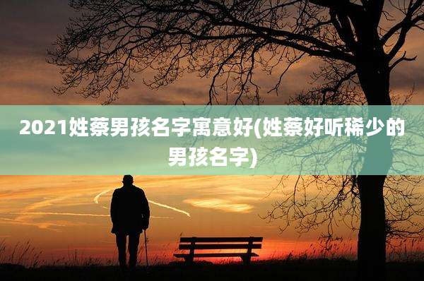 2021姓蔡男孩名字寓意好(姓蔡好听稀少的男孩名字)