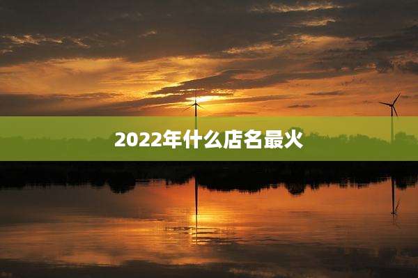 2022年什么店名最火