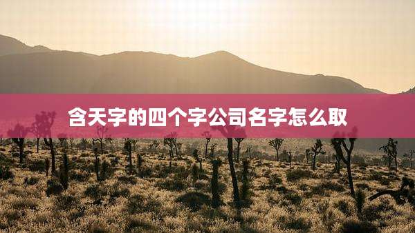 含天字的四个字公司名字怎么取