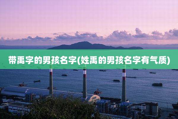 带禹字的男孩名字(姓禹的男孩名字有气质)