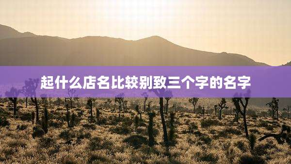 起什么店名比较别致三个字的名字