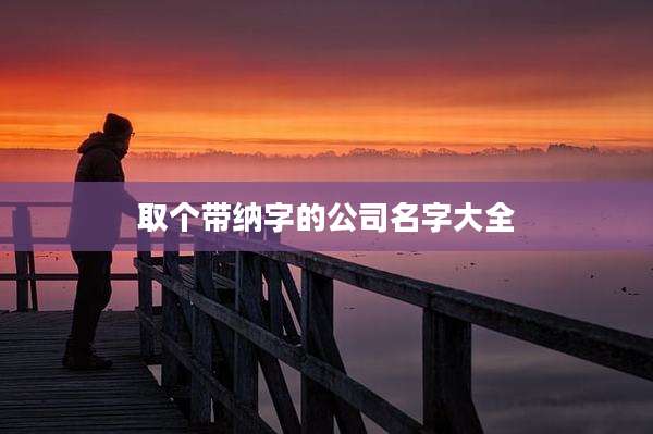 取个带纳字的公司名字大全