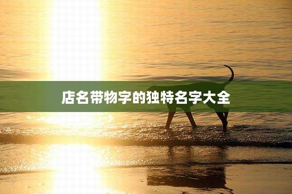 店名带物字的独特名字大全