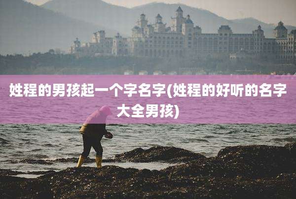 姓程的男孩起一个字名字(姓程的好听的名字大全男孩)